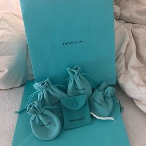 Tiffany and Co shopping bag and pouch